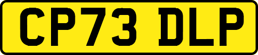 CP73DLP