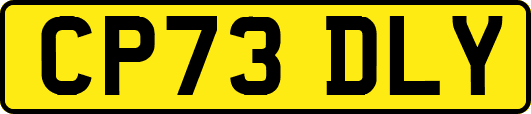 CP73DLY