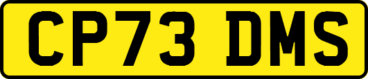 CP73DMS