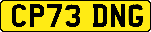 CP73DNG
