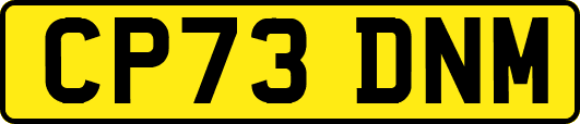 CP73DNM