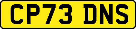 CP73DNS