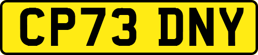 CP73DNY
