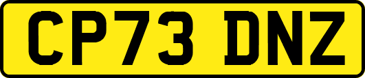 CP73DNZ