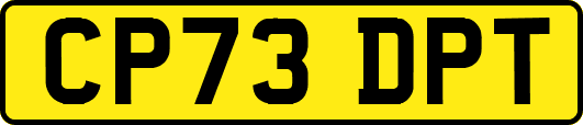 CP73DPT