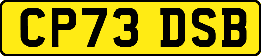 CP73DSB