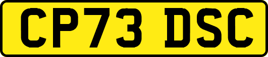 CP73DSC