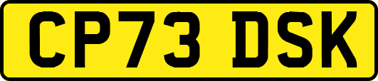 CP73DSK