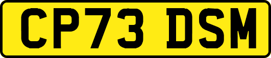 CP73DSM