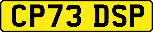 CP73DSP