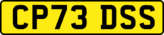 CP73DSS