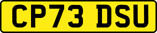 CP73DSU