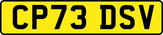 CP73DSV