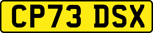 CP73DSX
