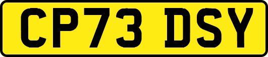 CP73DSY