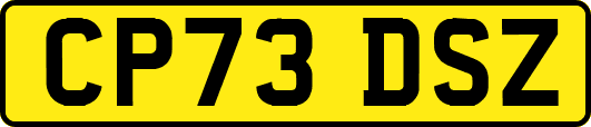 CP73DSZ