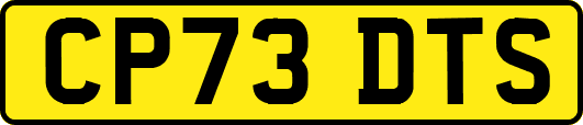 CP73DTS
