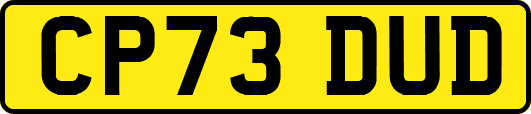 CP73DUD