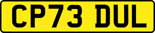 CP73DUL