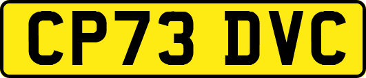 CP73DVC