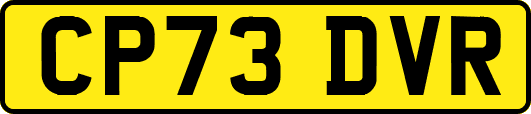 CP73DVR