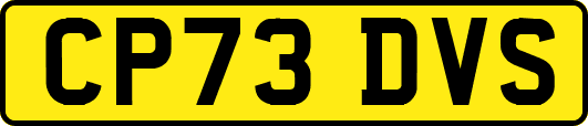 CP73DVS