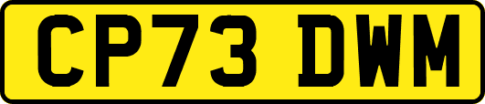 CP73DWM