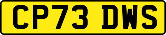 CP73DWS