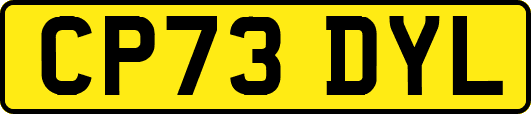 CP73DYL