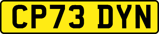 CP73DYN