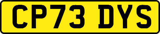 CP73DYS