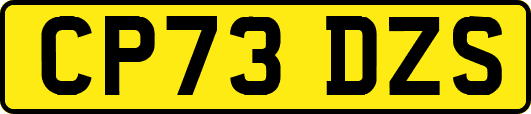 CP73DZS