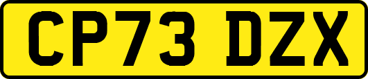 CP73DZX