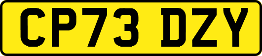 CP73DZY