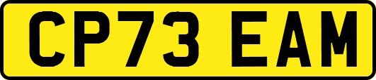 CP73EAM