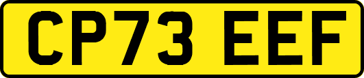 CP73EEF