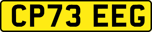 CP73EEG