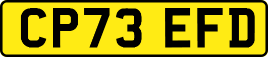 CP73EFD