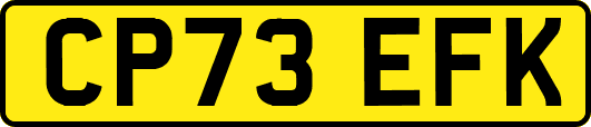 CP73EFK