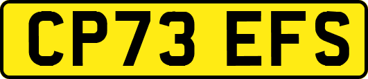 CP73EFS