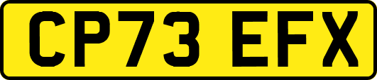 CP73EFX
