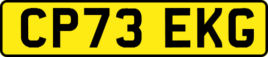 CP73EKG