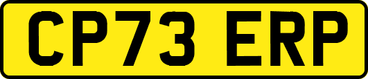 CP73ERP