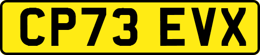 CP73EVX