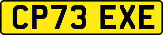 CP73EXE
