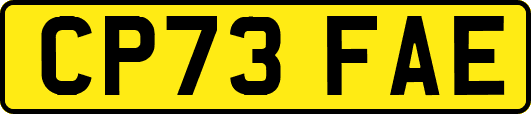 CP73FAE