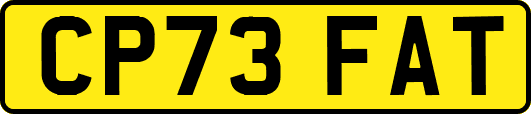 CP73FAT