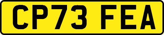 CP73FEA