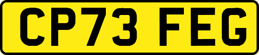 CP73FEG