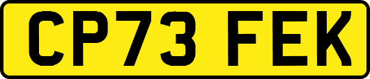 CP73FEK